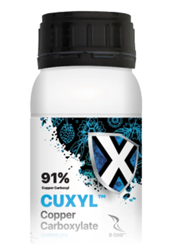 کوکسیل مس بارافشان 250 گرمی